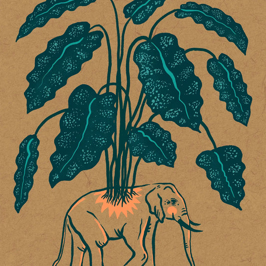 Elephant Ear Print 8x10 - Moon Room Shop and Wellness