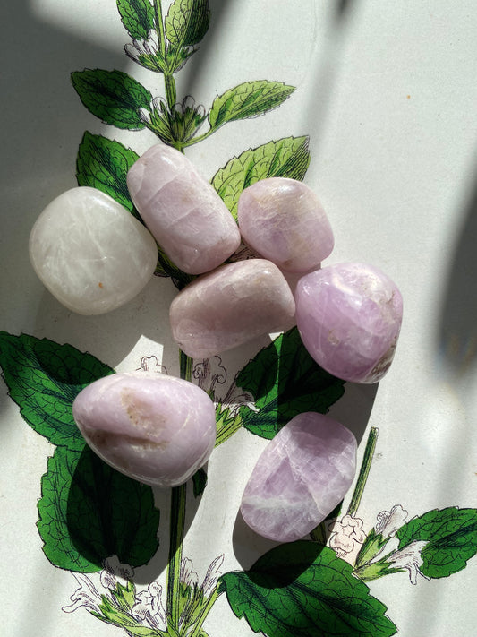 Kunzite Tumbled - Moon Room Shop and Wellness