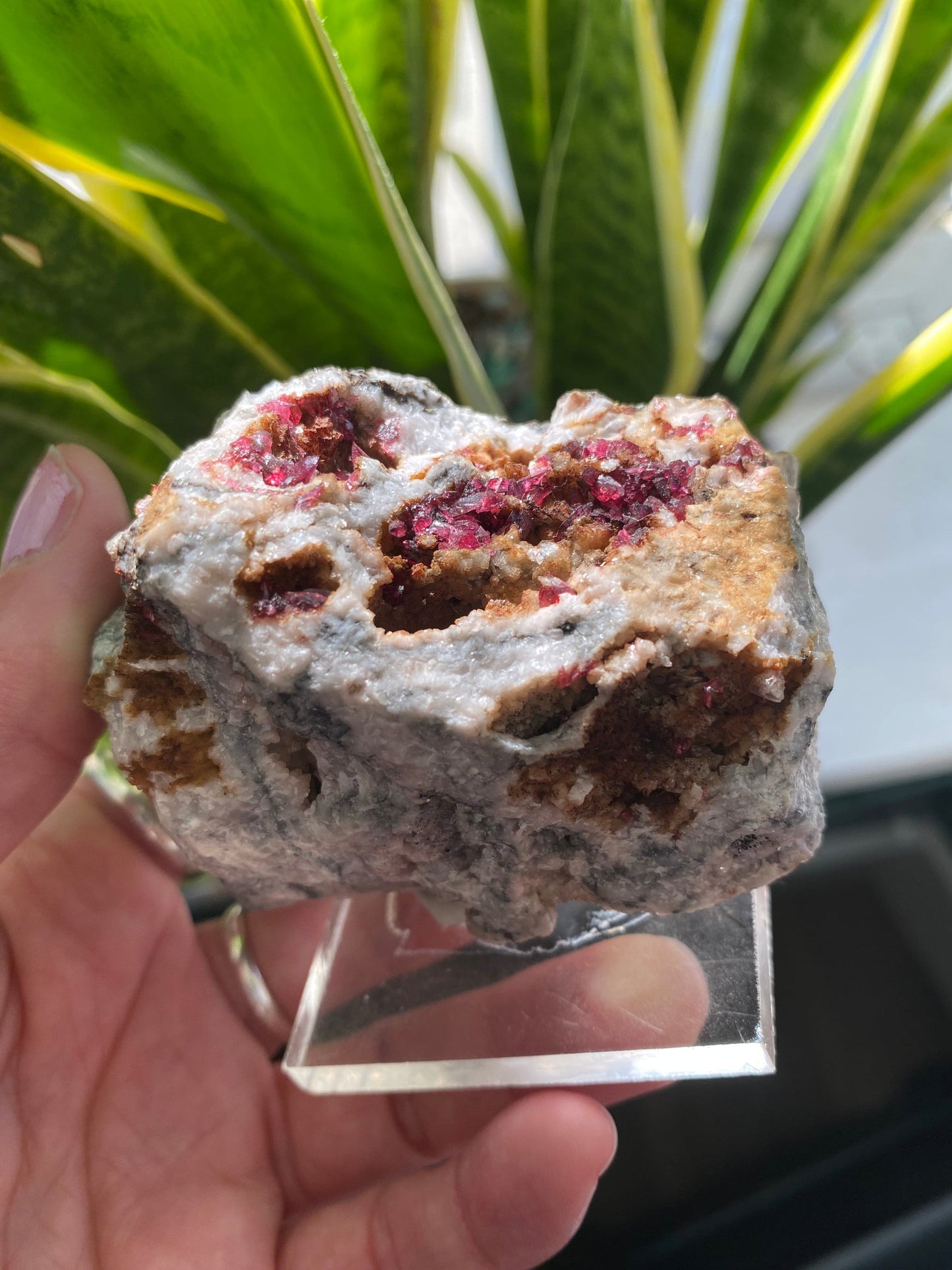 Roselite and Heterogenite on Dolomite 233 g  Aghbar Mine Morocco - Moon Room Shop and Wellness