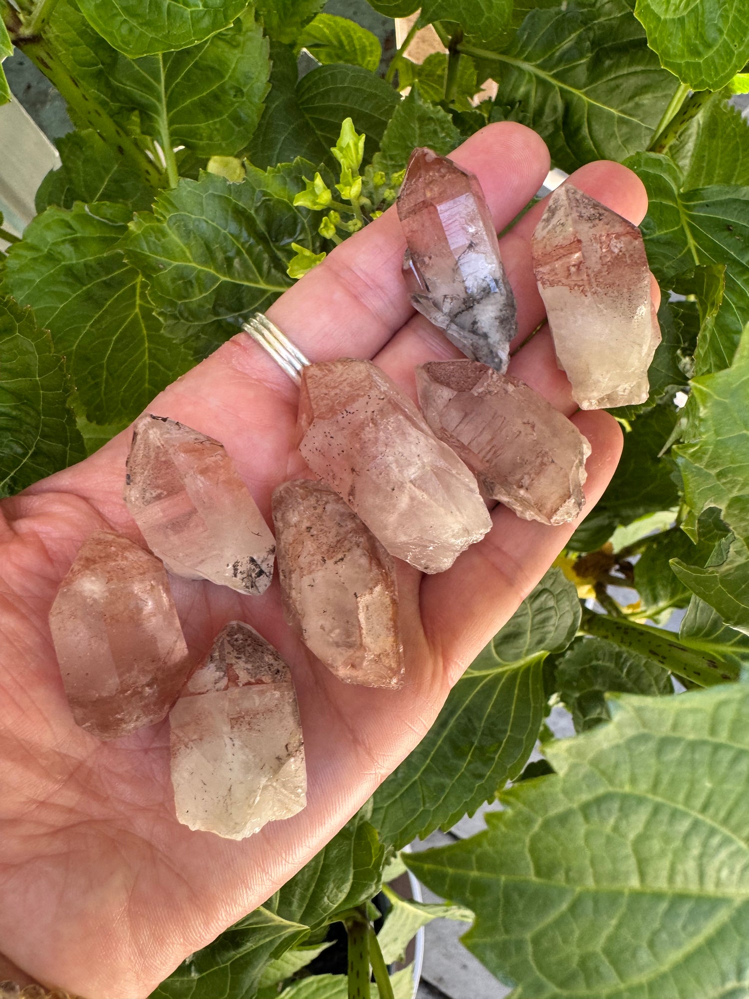 Pink Lithium Point- Brazil Beauties - Moon Room Shop and Wellness