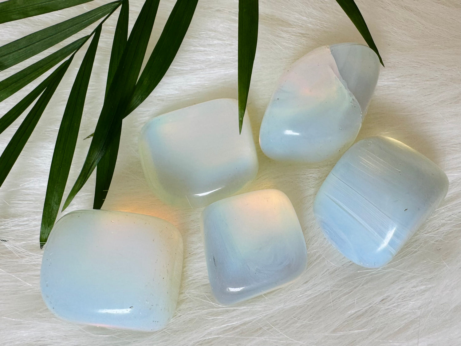 Opalite Tumbled - Moon Room Shop and Wellness