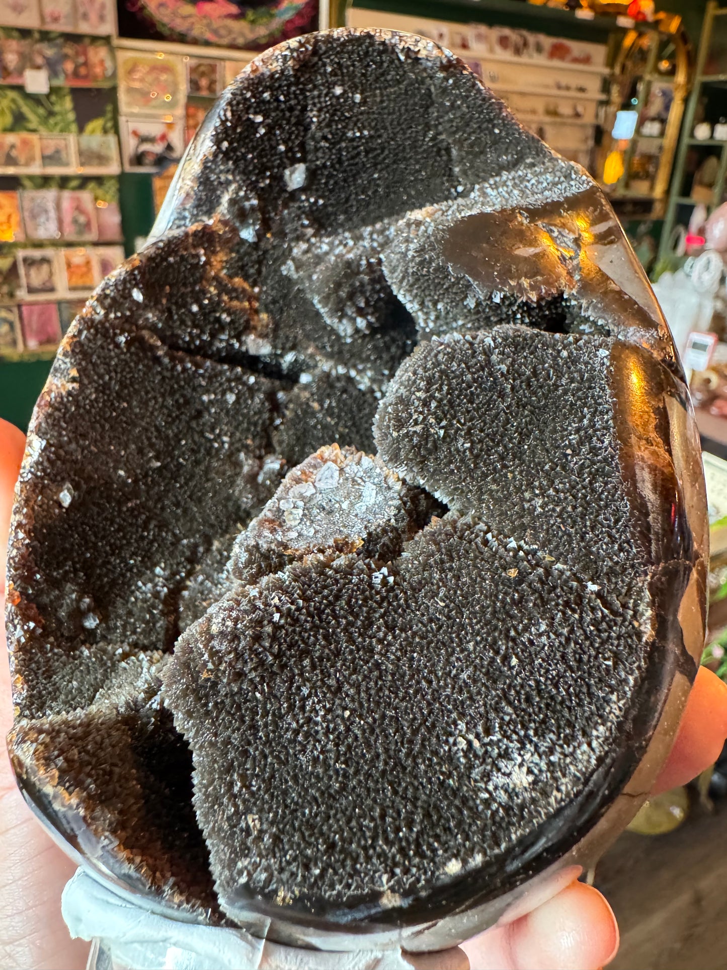 Septarian Dragon Egg -3.88 lb - Moon Room Shop and Wellness
