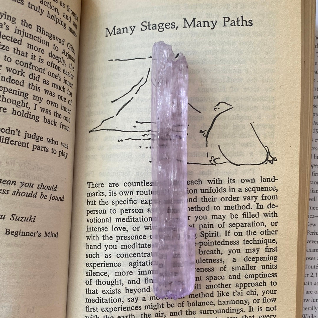 Kunzite -Pakistan- 240 ct - Moon Room Shop and Wellness