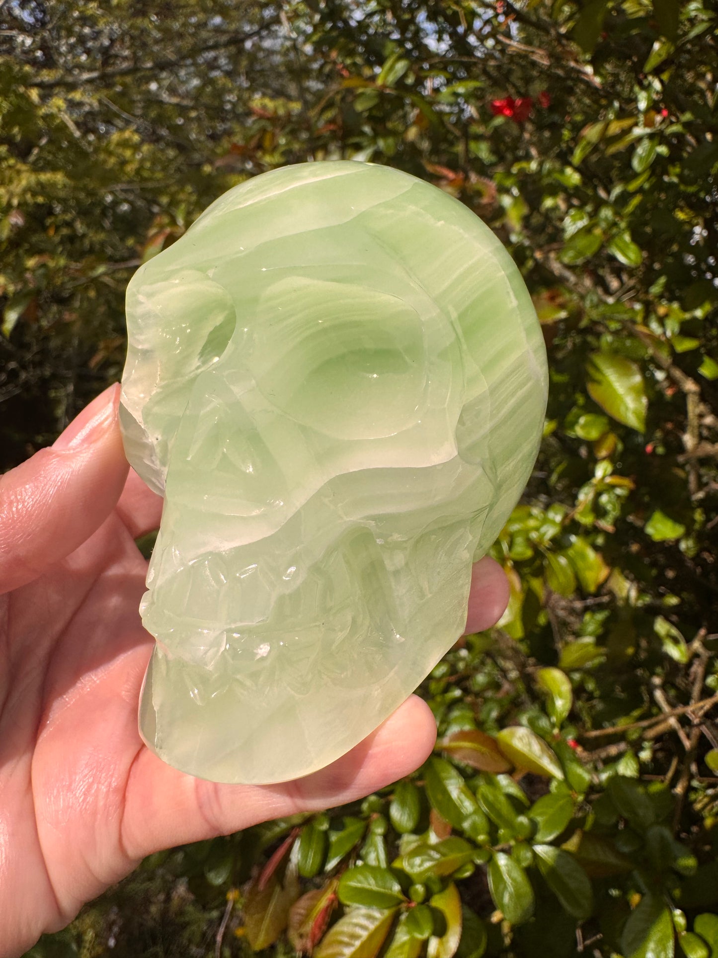 Green Onyx/Calcite Skull  1.76 lb Mexico - Moon Room Shop and Wellness