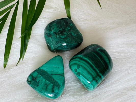 Malachite Tumbled Stone - Moon Room Shop and Wellness