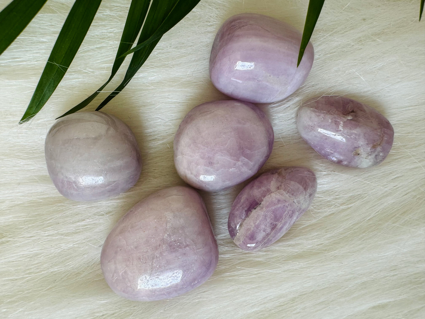 Kunzite Tumbled - Moon Room Shop and Wellness