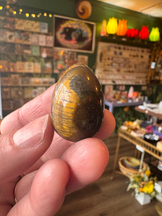 Tiger's Eye  Mini Egg - Cute Alert! - Moon Room Shop and Wellness
