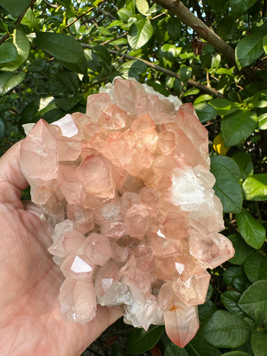Pink Lithium Quartz Cluster 2.2lb - Brazil- Peaceful Beauty! - Moon Room Shop and Wellness
