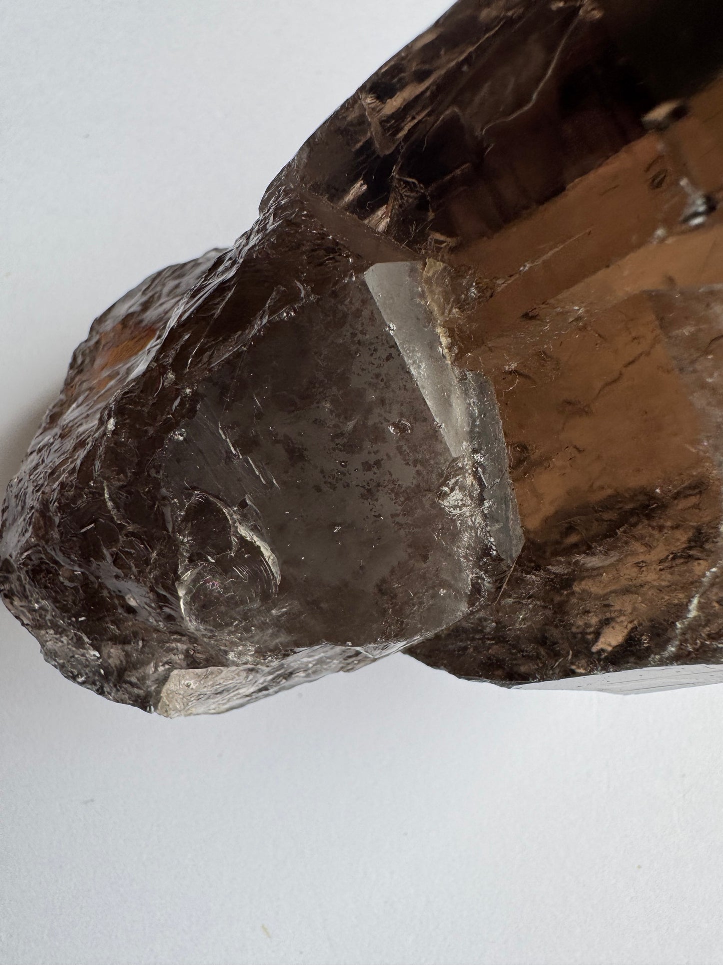 Smoky Quartz Rutilated Beauty 342 g. Brazil - Moon Room Shop and Wellness