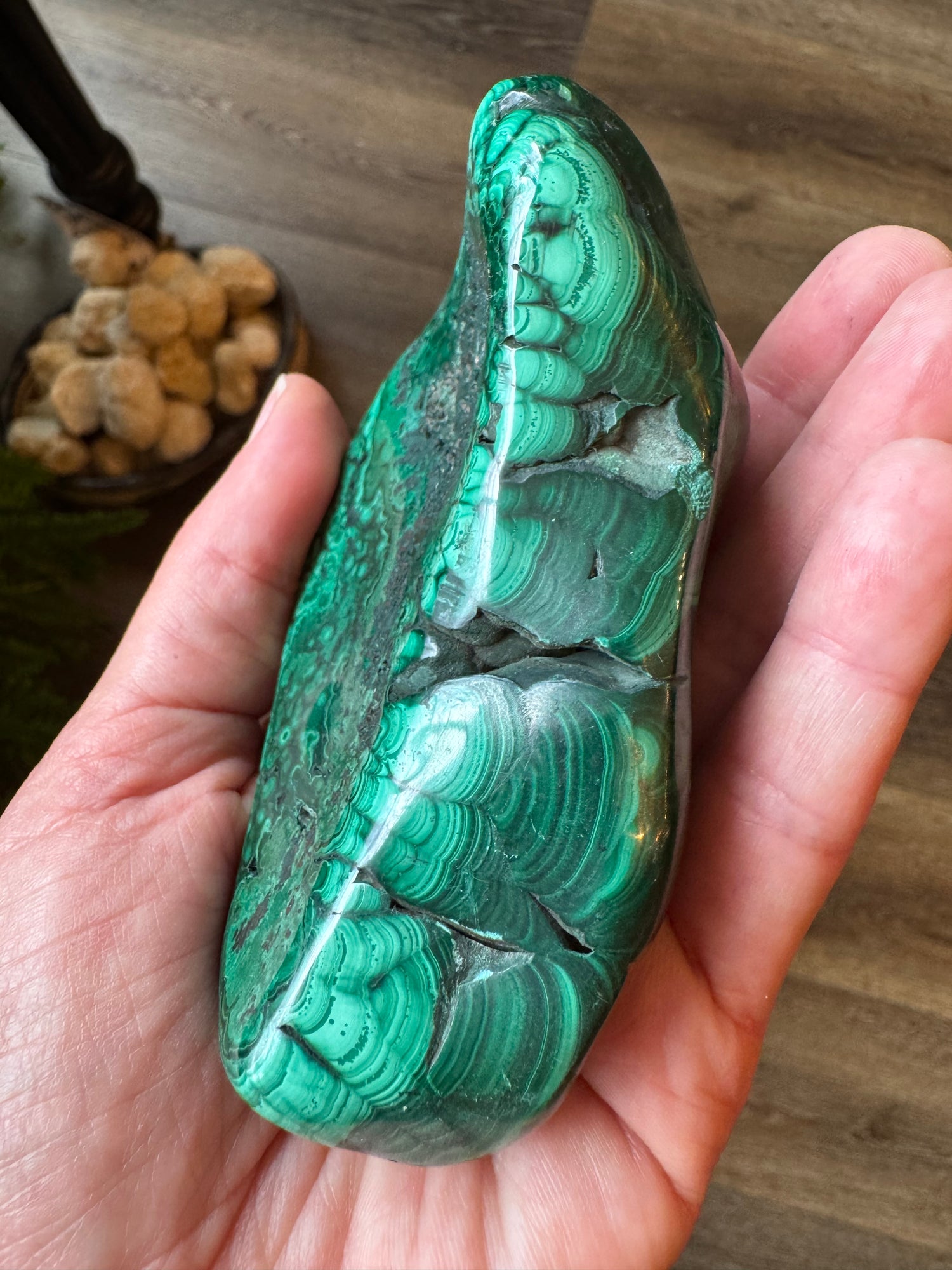 Malachite Freeform 366 g -Congo Polished Beauty! - Moon Room Shop and Wellness