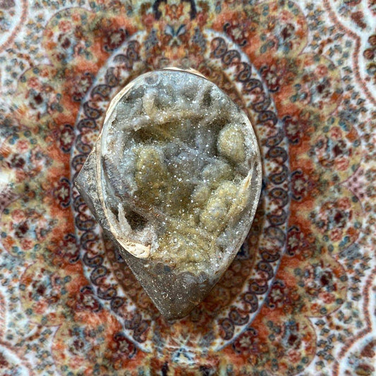 Spiralite Fossilized Gemshell 39 g - Moon Room Shop and Wellness