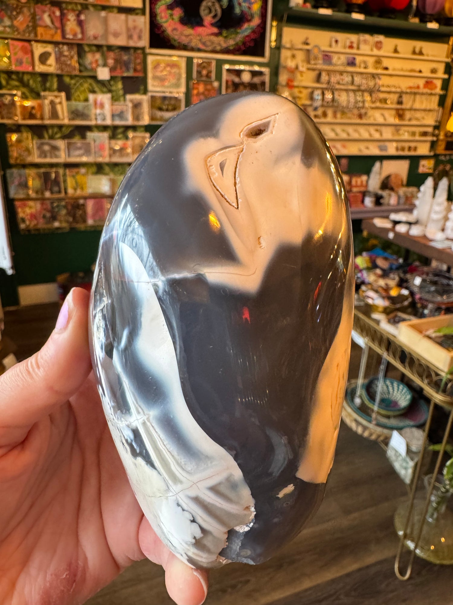 Orca Agate Freeform 2.53 lb - Moon Room Shop and Wellness