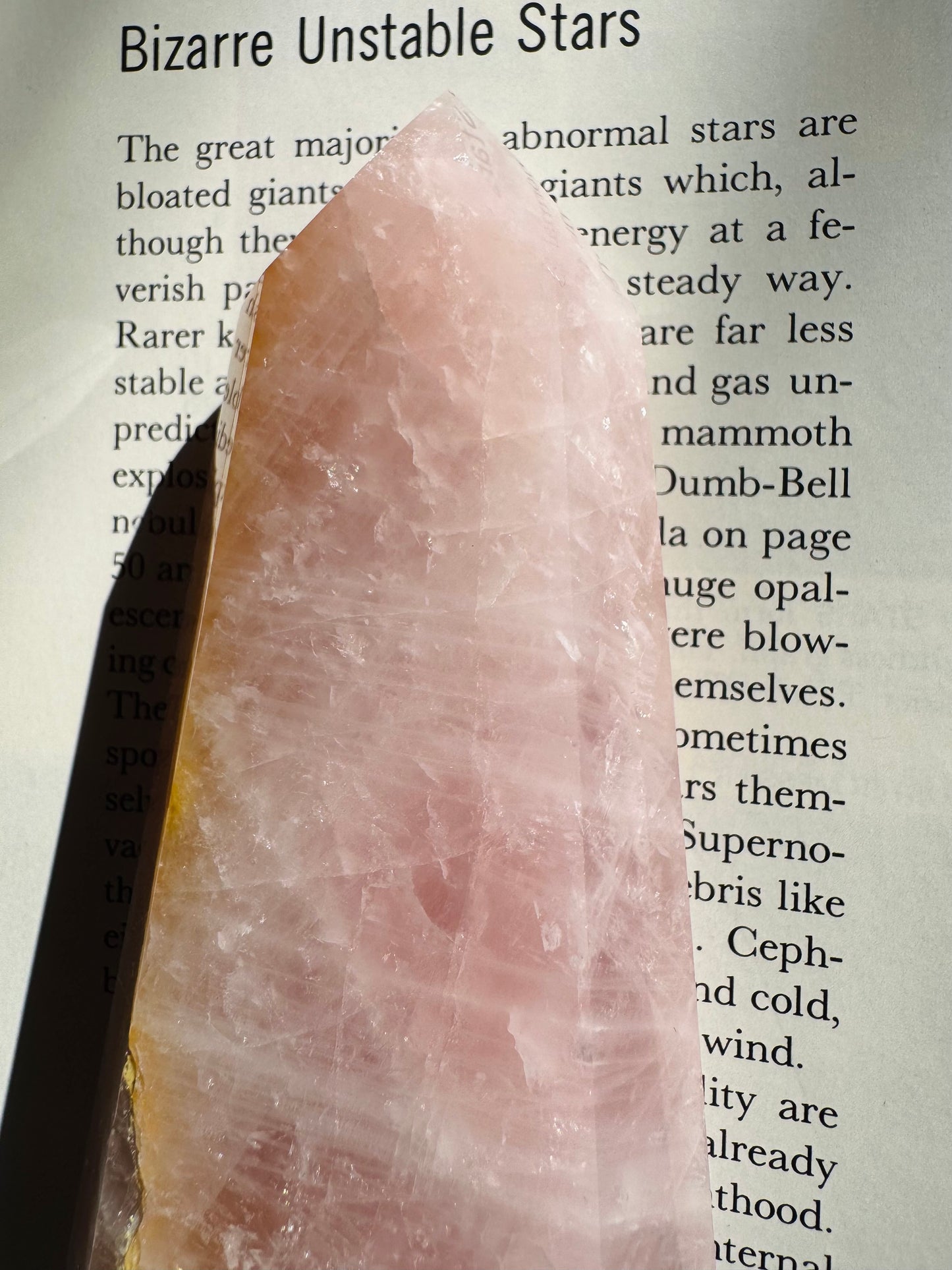 Rose Quartz w/ Golden Healer Tower 200 g Brazil - Moon Room Shop and Wellness