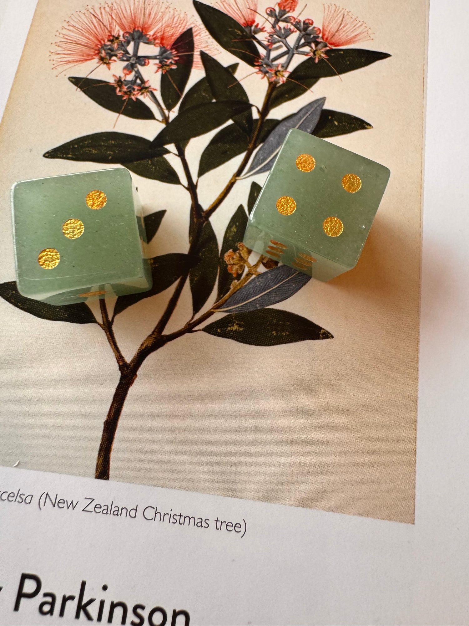 Green Aventurine Carved Dice - Moon Room Shop and Wellness