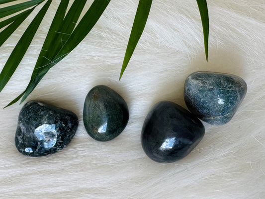 Moss Agate Tumbled - Moon Room Shop and Wellness