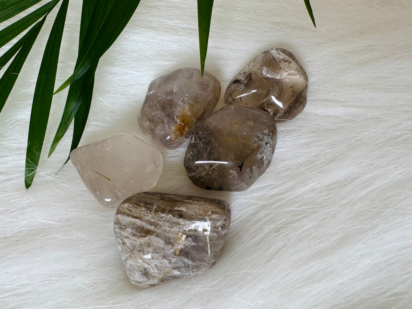 Rutilated Quartz Tumbled - Moon Room Shop and Wellness