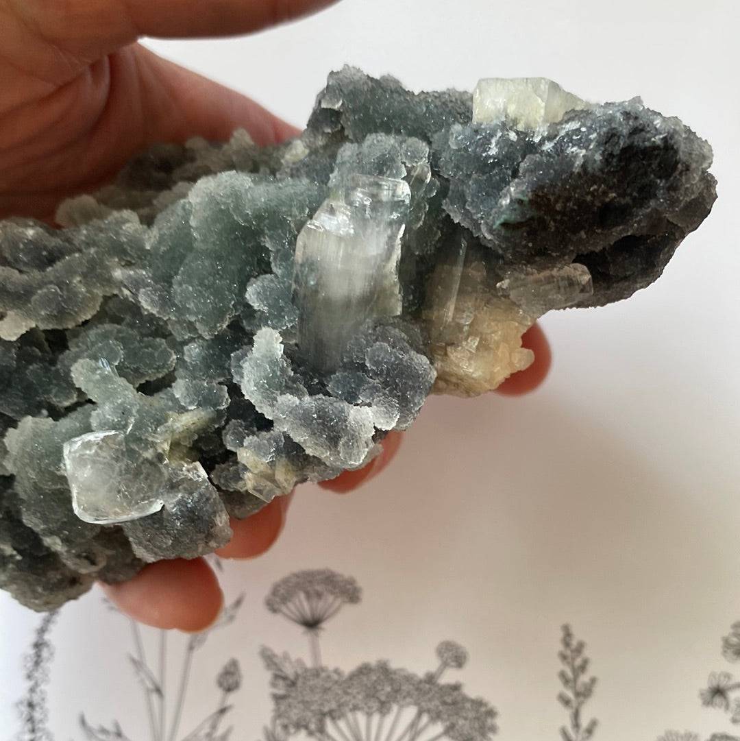 Druzy Chalcedony with Apophyllite and Stilbite 353 g - Moon Room Shop and Wellness