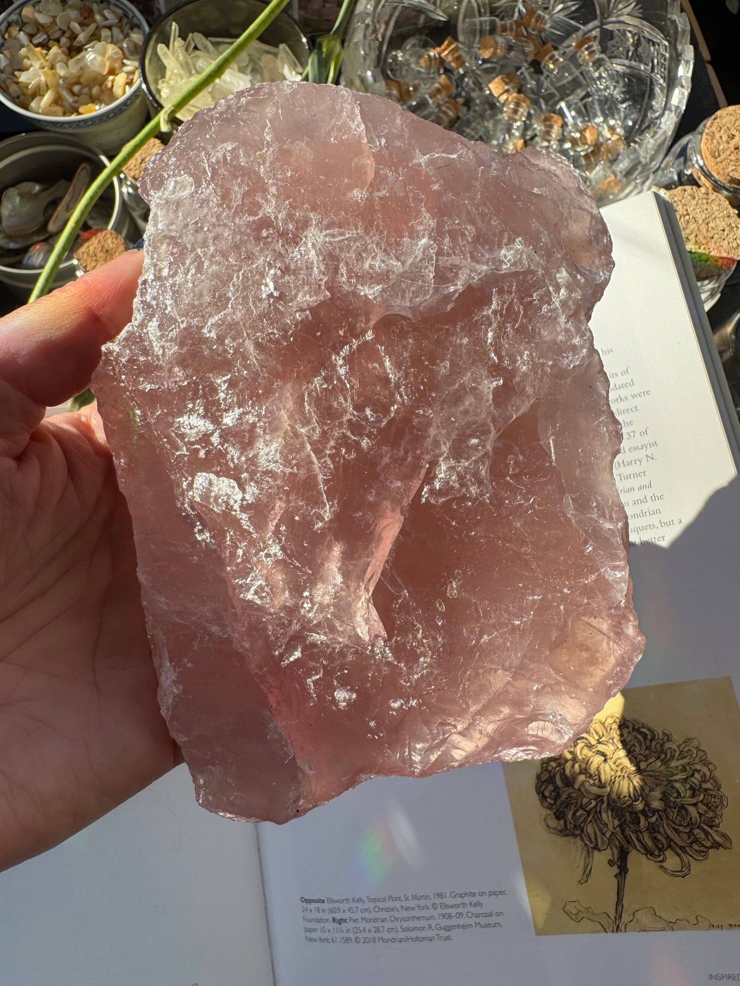 Rose Quartz Rough 2lb Piece Ethically Sourced - Moon Room Shop and Wellness