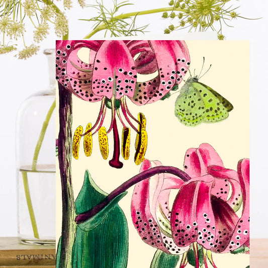 Pink Drops  Botanical Greeting Card- Blank - Moon Room Shop and Wellness