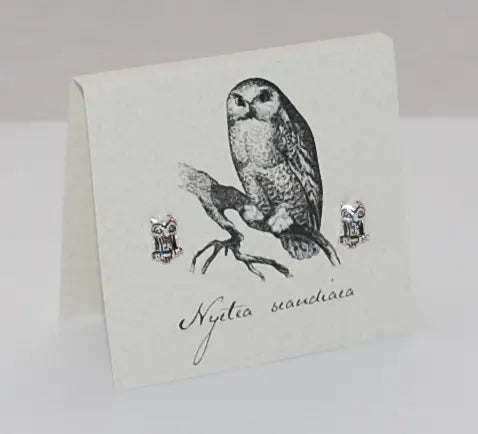 Owl Earrings Sterling Silver - Moon Room Shop and Wellness