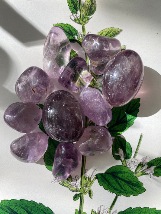 Amethyst Tumbled - Moon Room Shop and Wellness