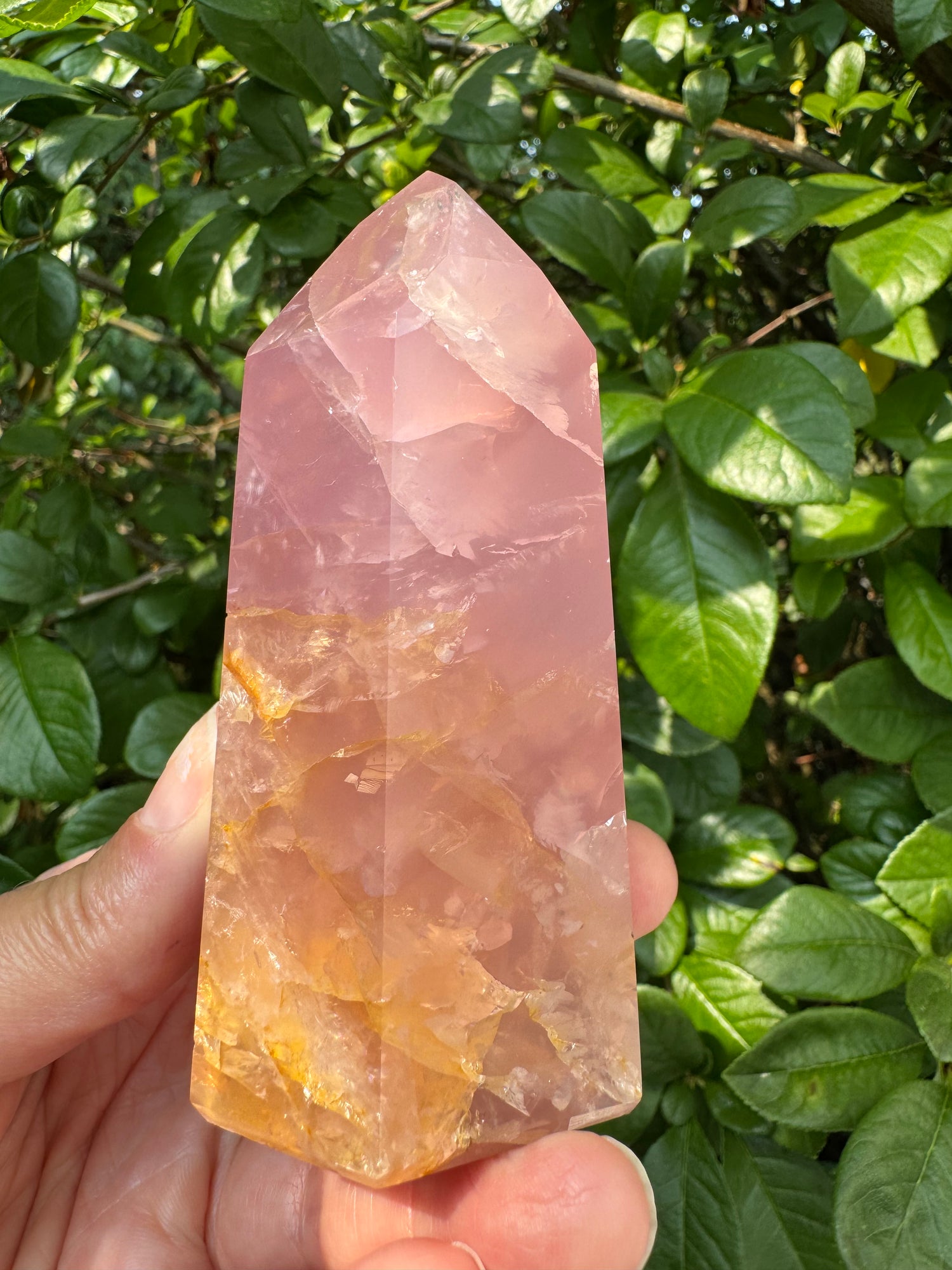 Guava Rose Quartz w Golden Healer - Gorgeous! 254 g - Brazil - Moon Room Shop and Wellness