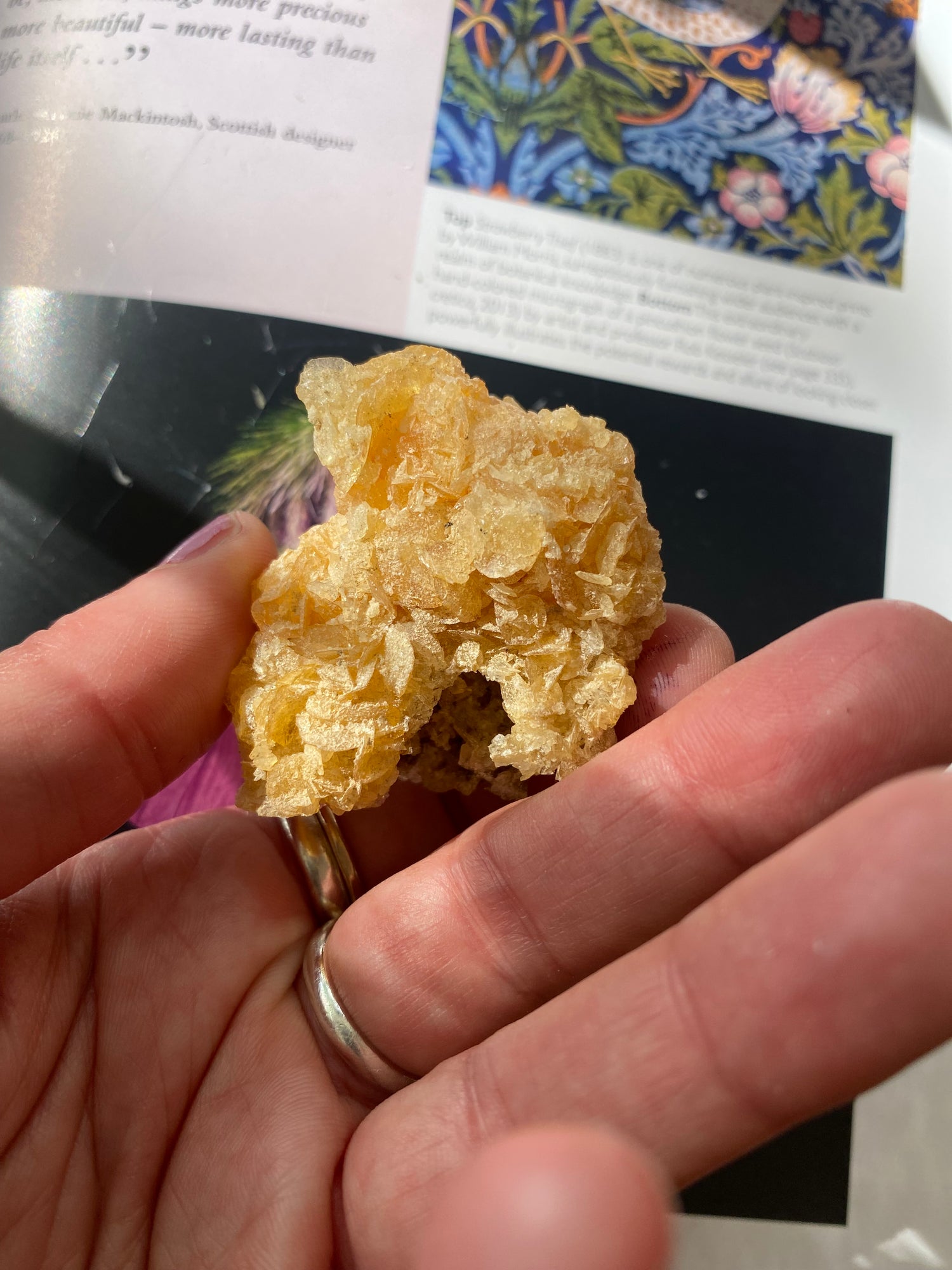 Golden Selenite with Halite 25g Peru - Moon Room Shop and Wellness