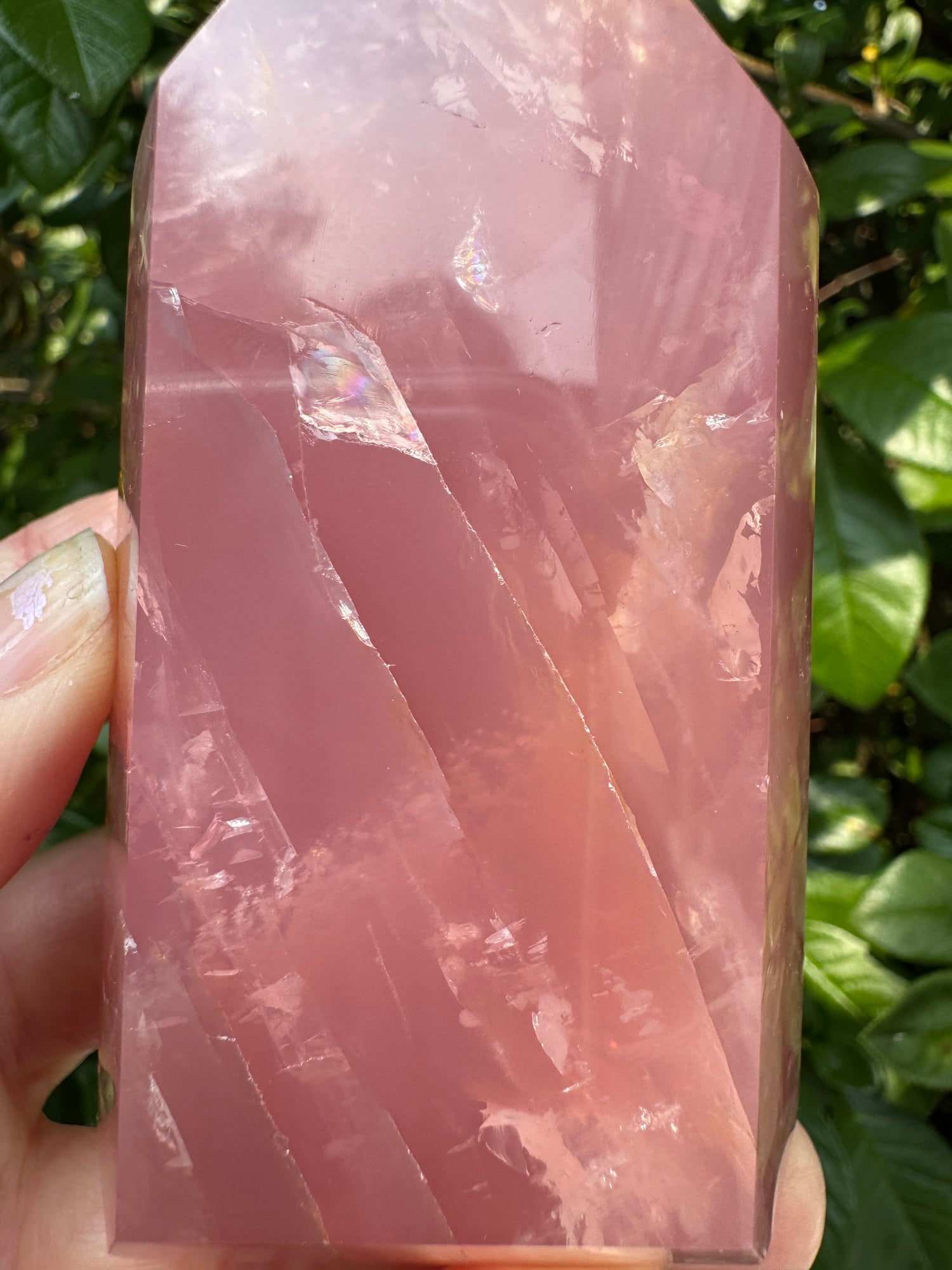 Guava Rose Quartz w Golden Healer - Gorgeous! 304 g - Brazil - Moon Room Shop and Wellness