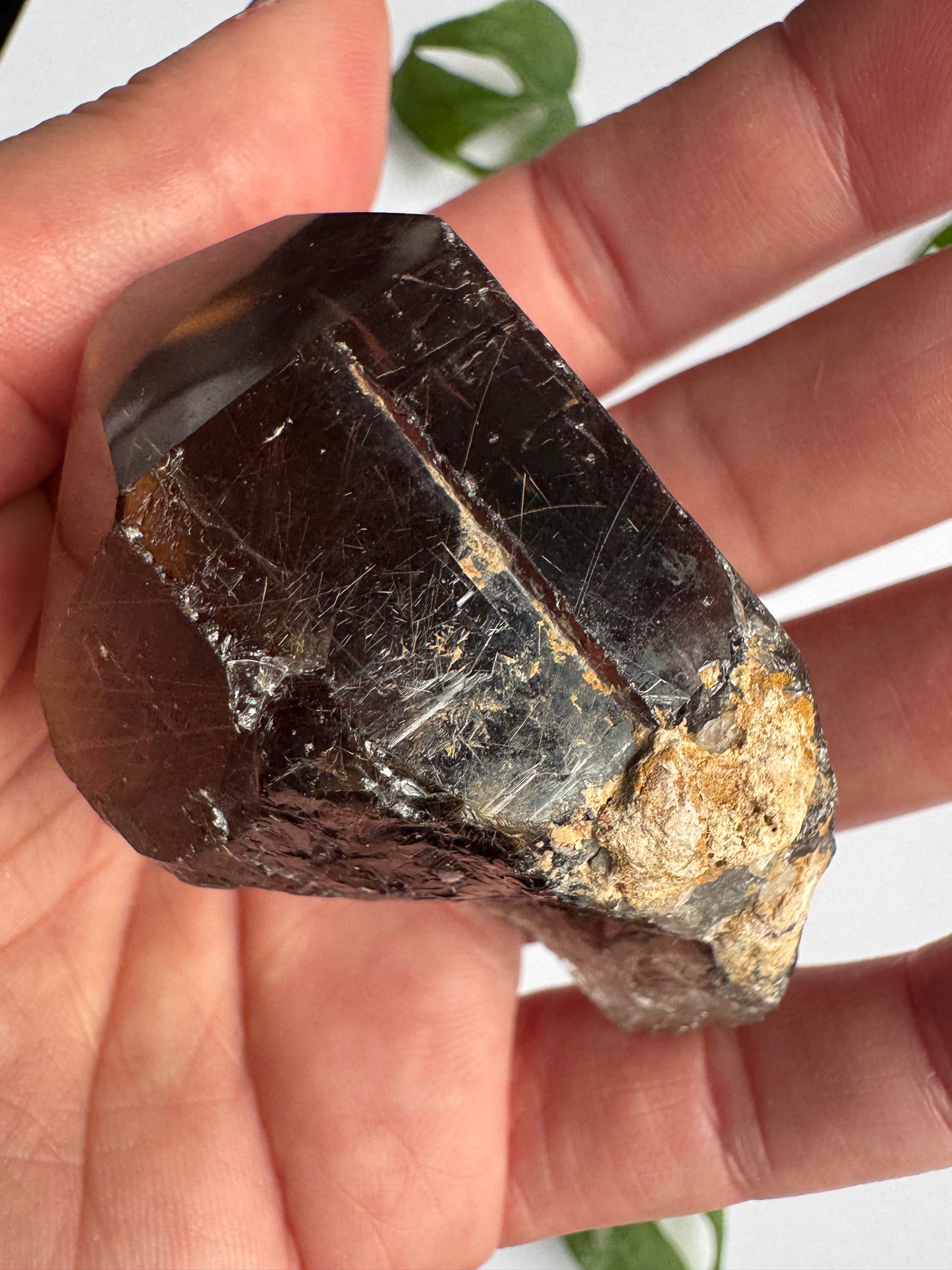 Smoky Quartz Rutilated Beauty 84 g. Brazil - Moon Room Shop and Wellness