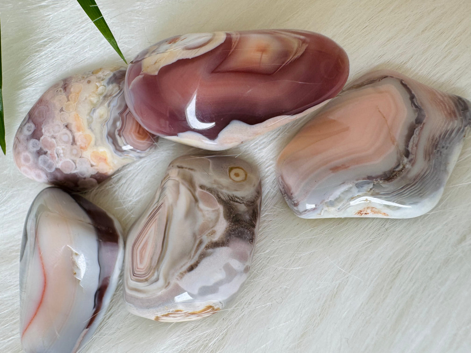 Pink Botswana Agate Tumbled - Moon Room Shop and Wellness