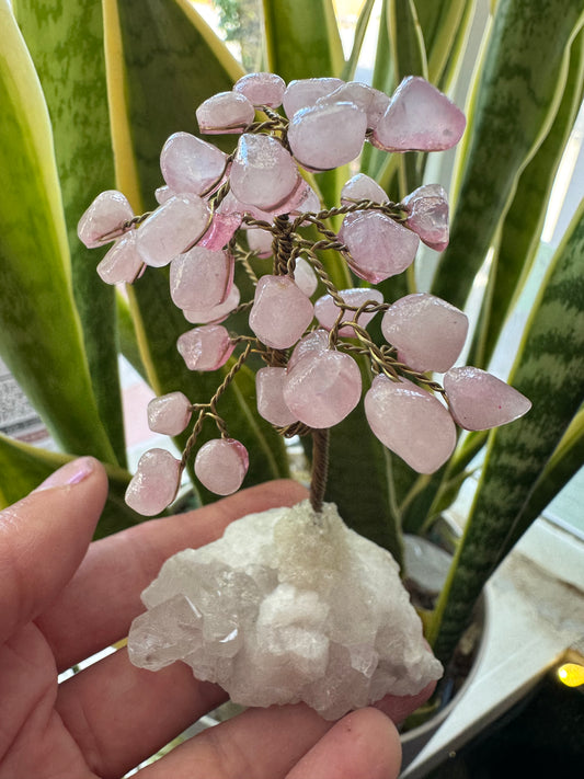 Rose Quartz Gem Tree on Clear Quartz -So Sweeeet!! - Moon Room Shop and Wellness
