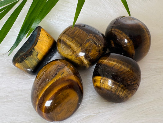 Tiger's Eye Tumbled - Moon Room Shop and Wellness