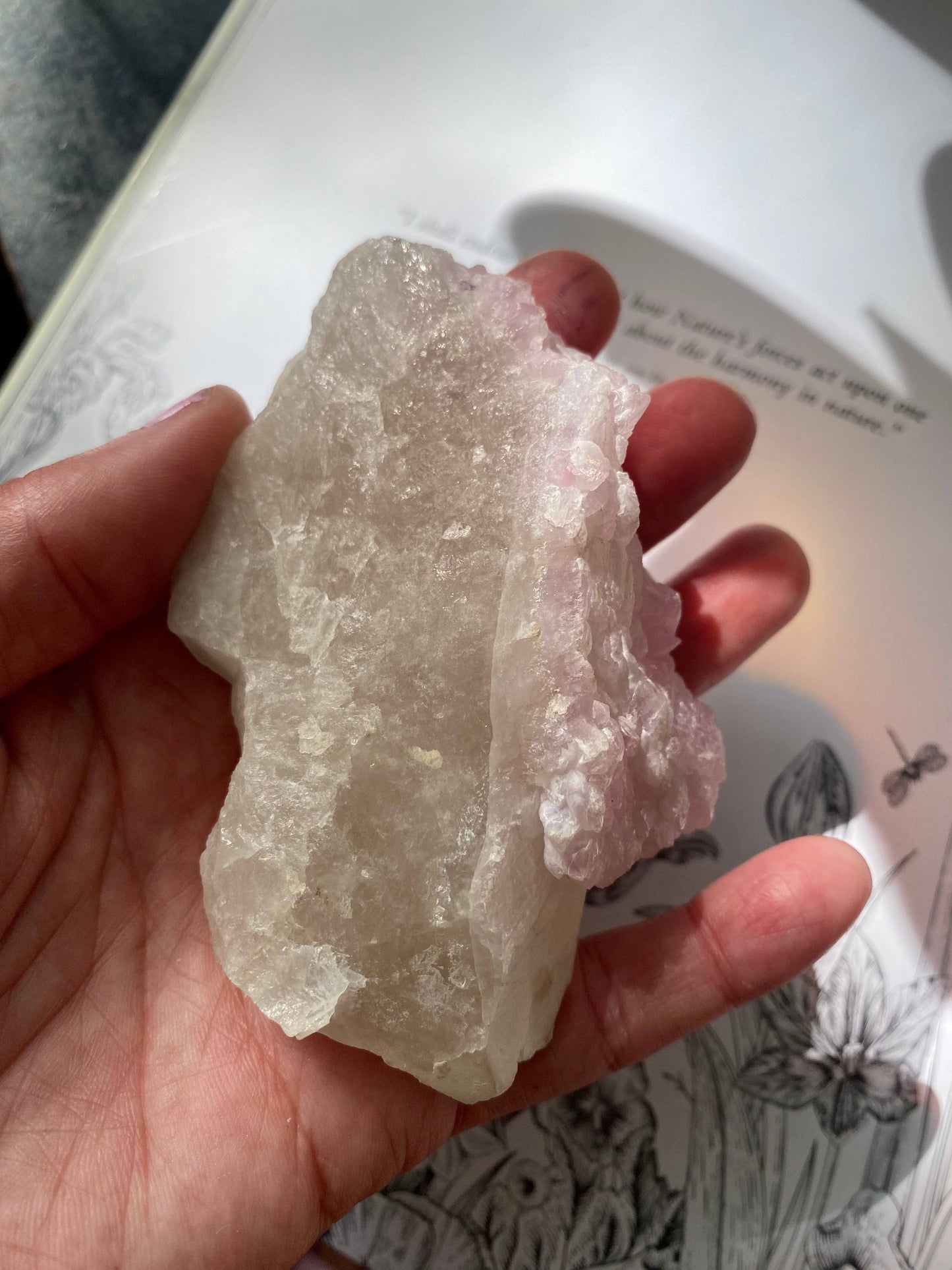 Rose Quartz Crystal Cluster 185 g Brazil - Moon Room Shop and Wellness