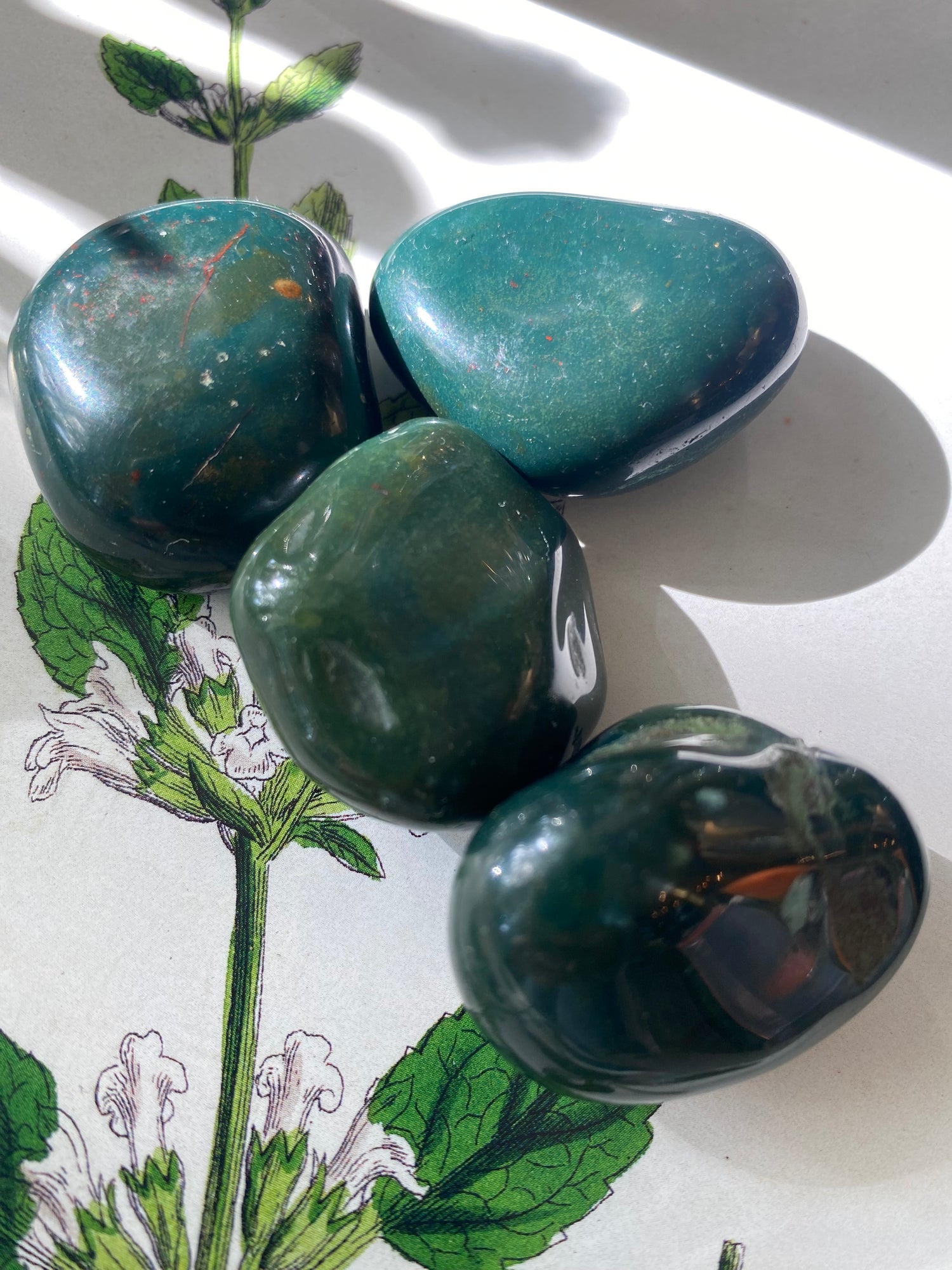 Bloodstone Tumbled - Moon Room Shop and Wellness