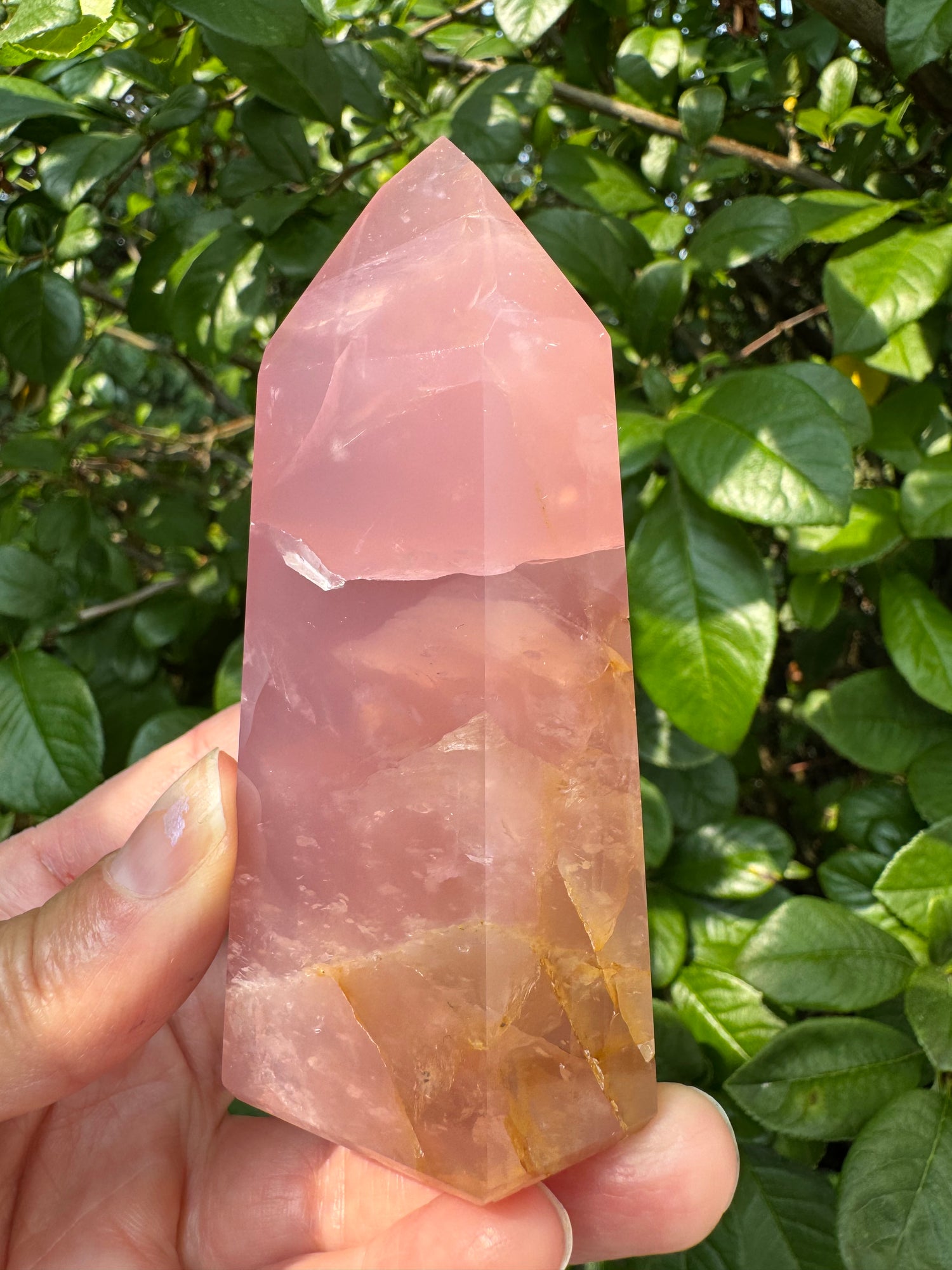 Guava Rose Quartz w Golden Healer - Gorgeous! 254 g - Brazil - Moon Room Shop and Wellness