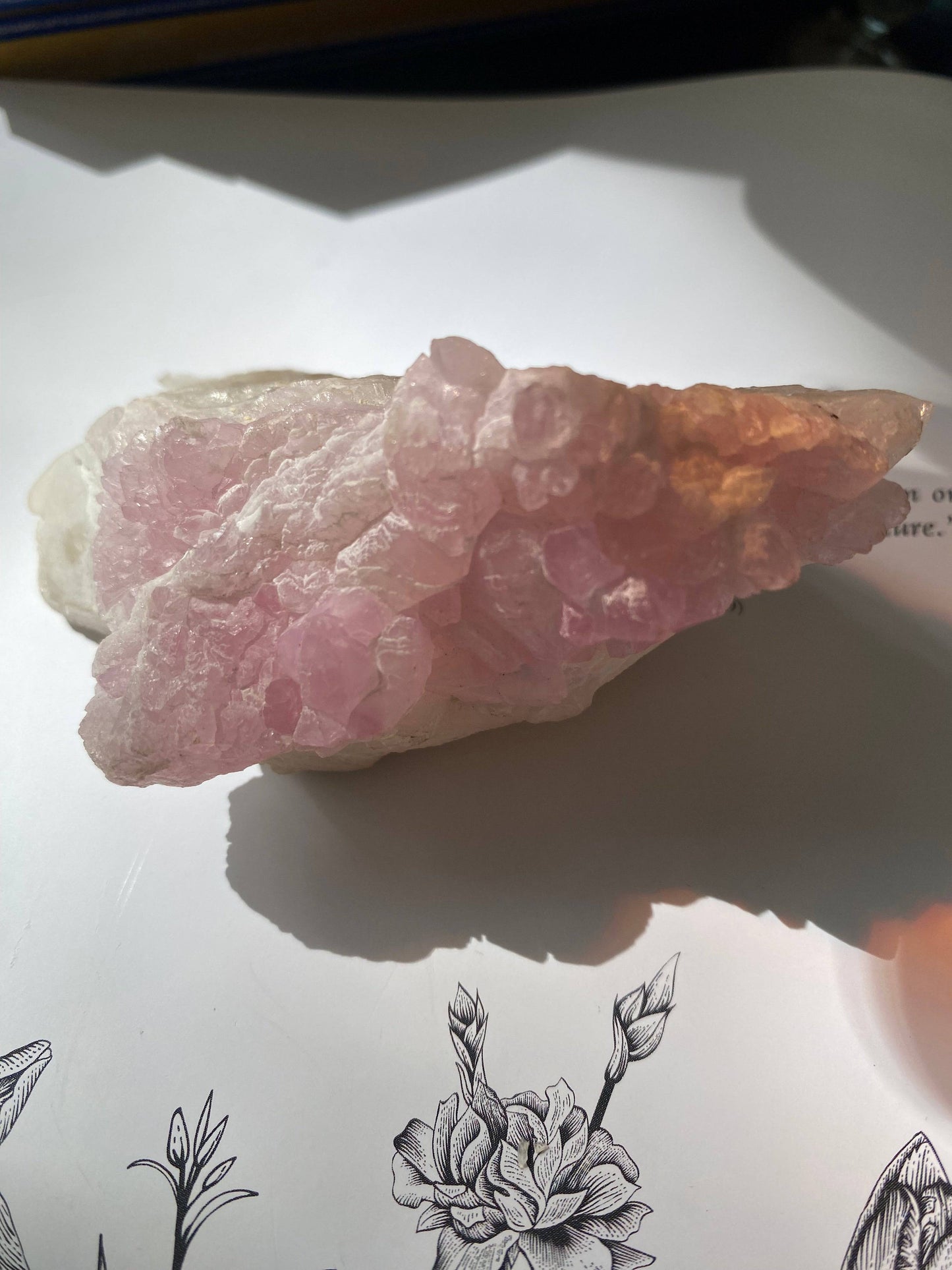 Rose Quartz Crystal Cluster 185 g Brazil - Moon Room Shop and Wellness