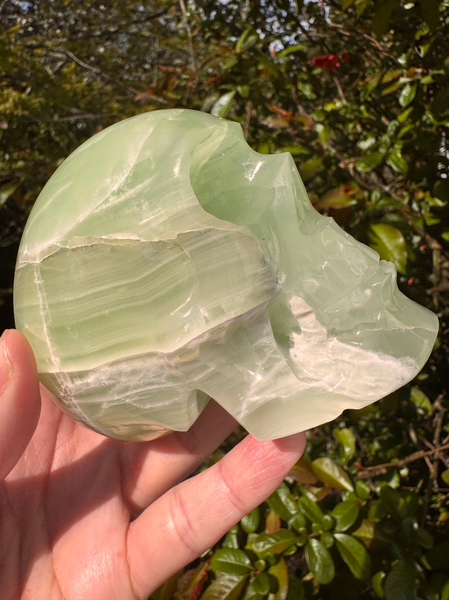 Green Onyx/Calcite Skull  1.76 lb Mexico - Moon Room Shop and Wellness