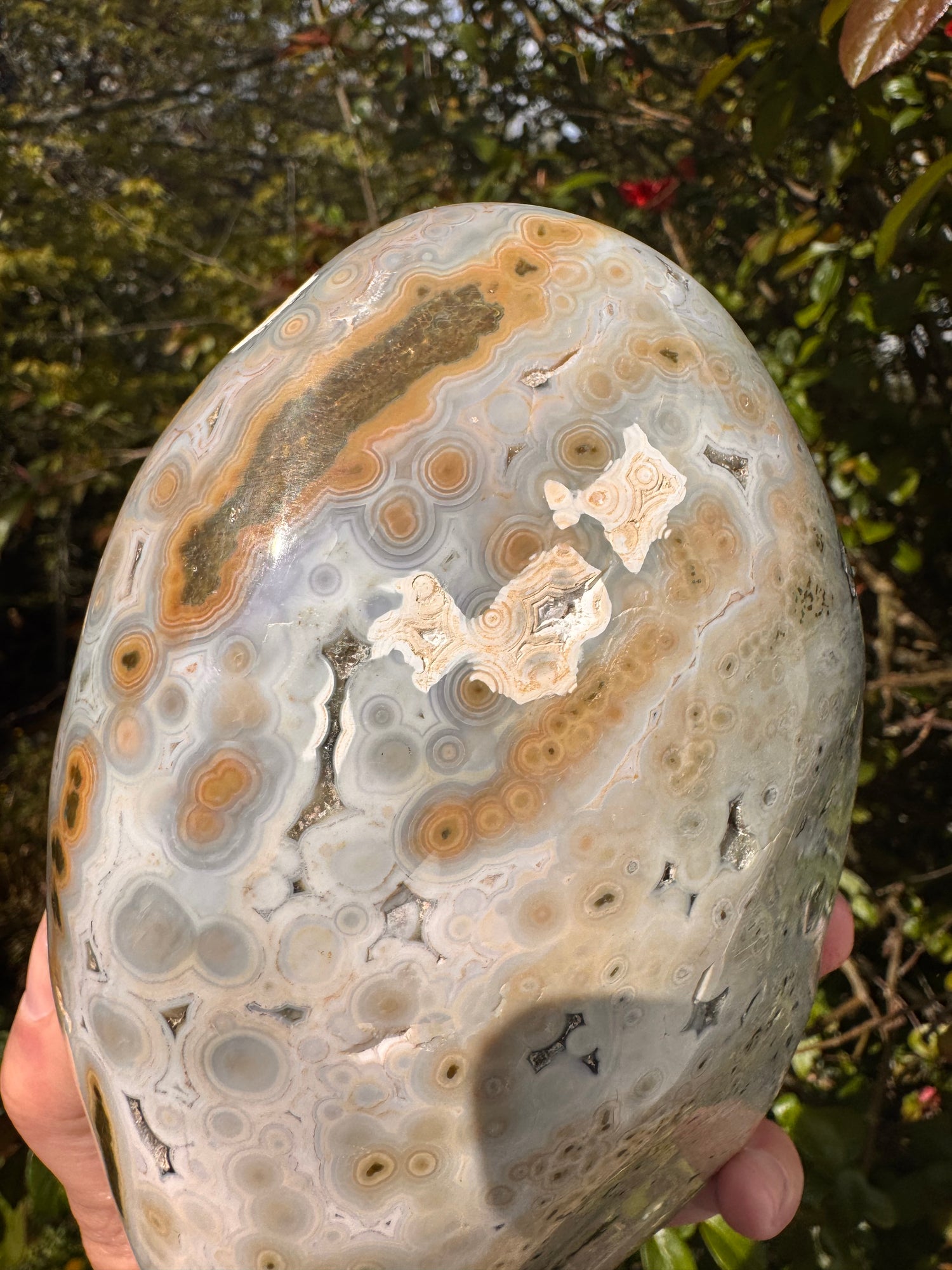 Ocean Jasper Freeform 4.23 lb Madagascar - Moon Room Shop and Wellness