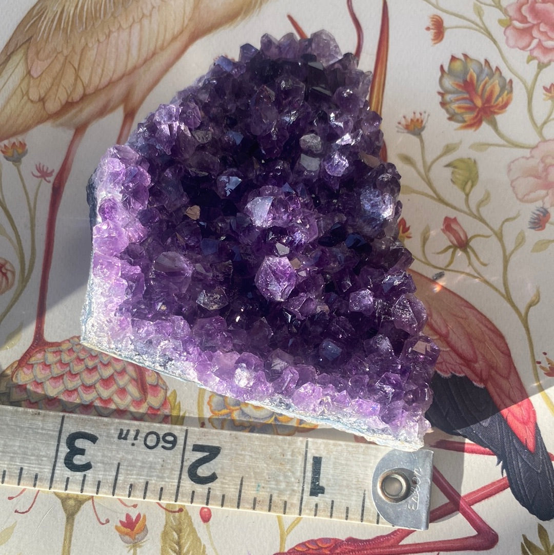Amethyst Cluster Raw Crystal 181 g - Moon Room Shop and Wellness