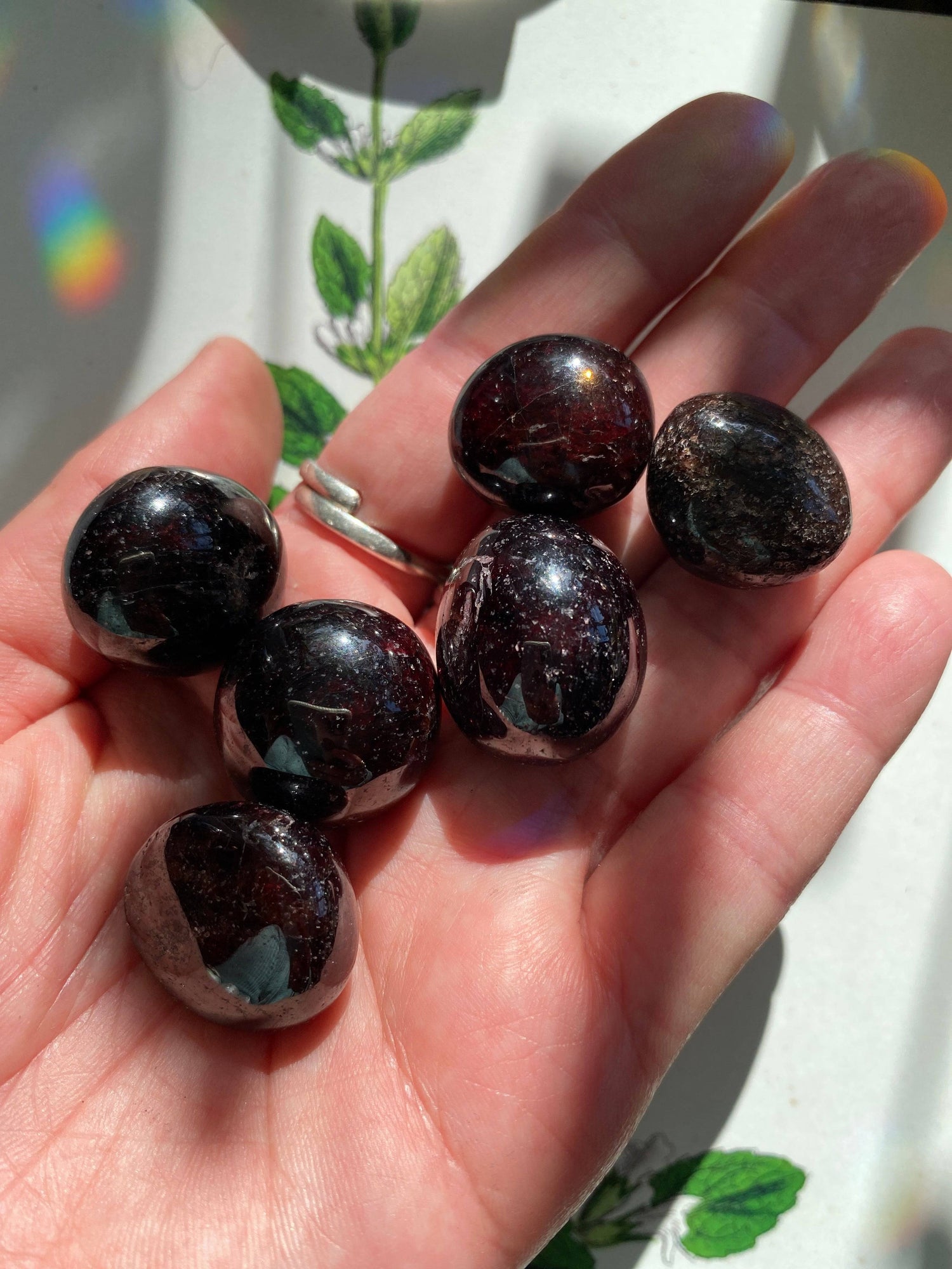 Garnet with Astrophyllite Tumbled - Moon Room Shop and Wellness