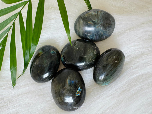 Labradorite Tumbled - Moon Room Shop and Wellness