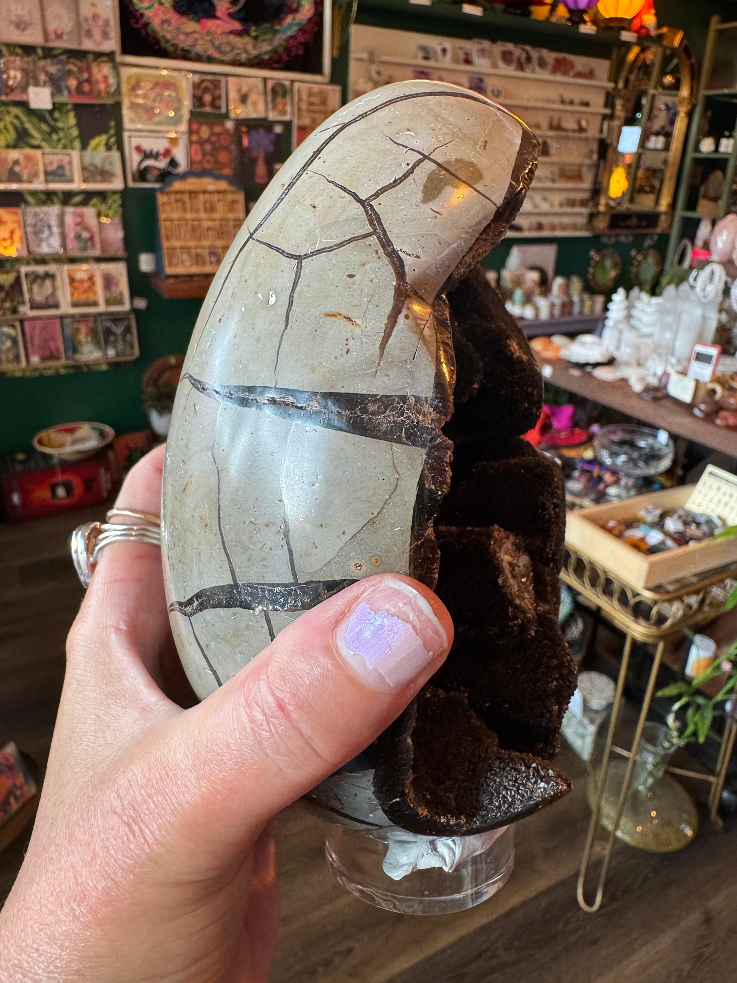 Septarian Dragon Egg -3.88 lb - Moon Room Shop and Wellness