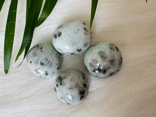 Kiwi Jasper Tumbled - Moon Room Shop and Wellness