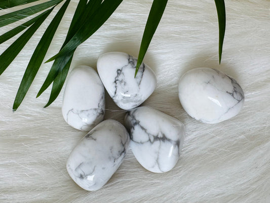Howlite Tumbled - Moon Room Shop and Wellness