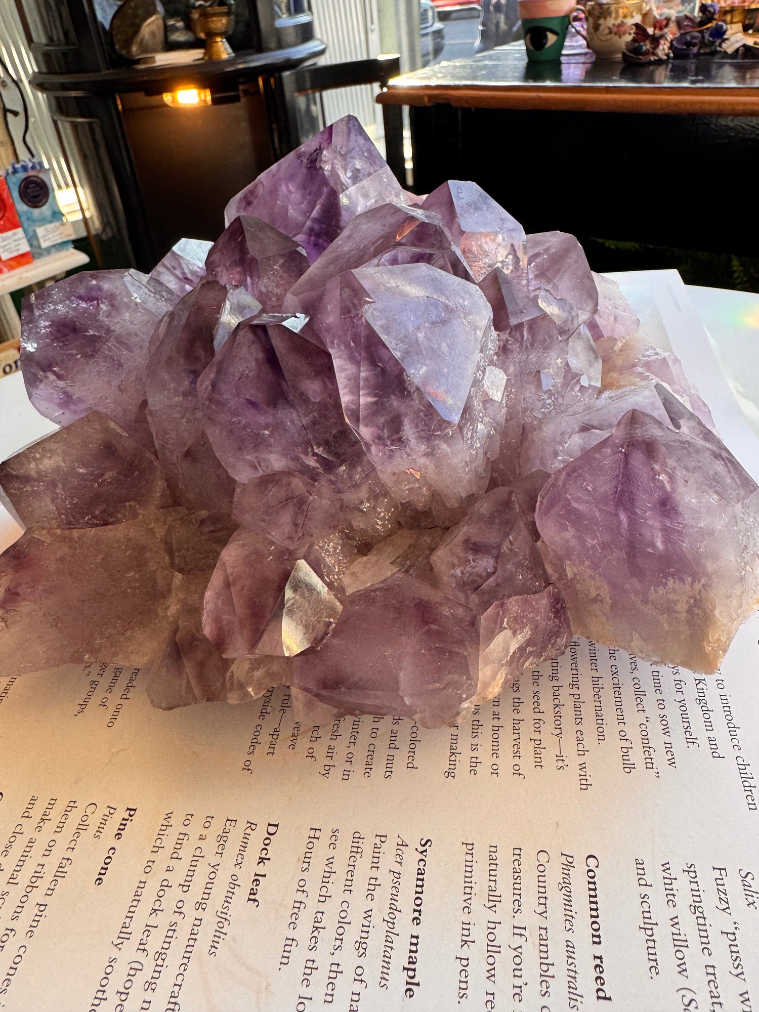 Phantom Amethyst Cluster 6.85 lb Brazil - Moon Room Shop and Wellness