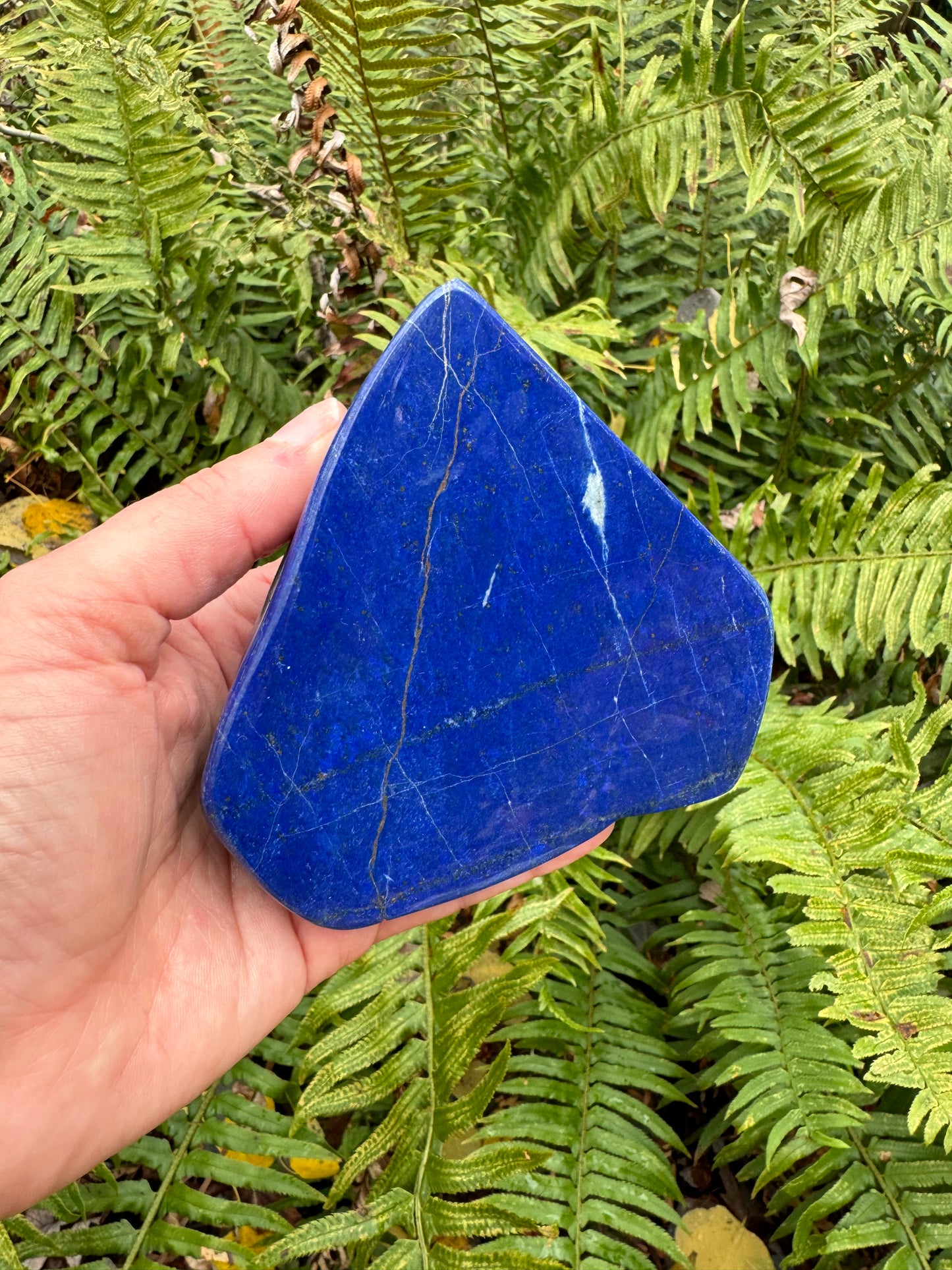 Lapis Lazuli Freeform Afghanistan 1.1 lb - Moon Room Shop and Wellness