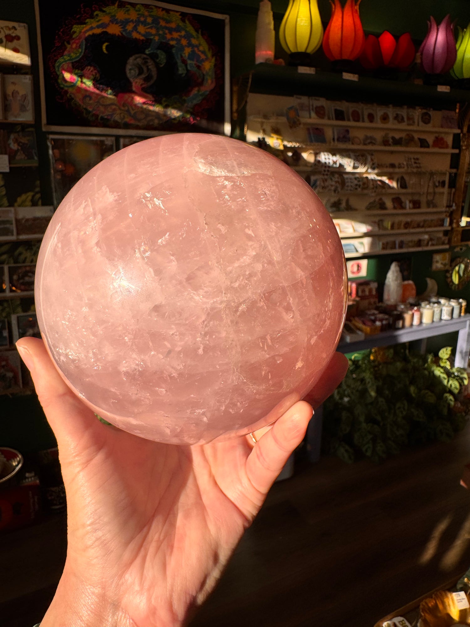 Rose Quartz Gorgeous Pink Sphere 8 lb - Moon Room Shop and Wellness