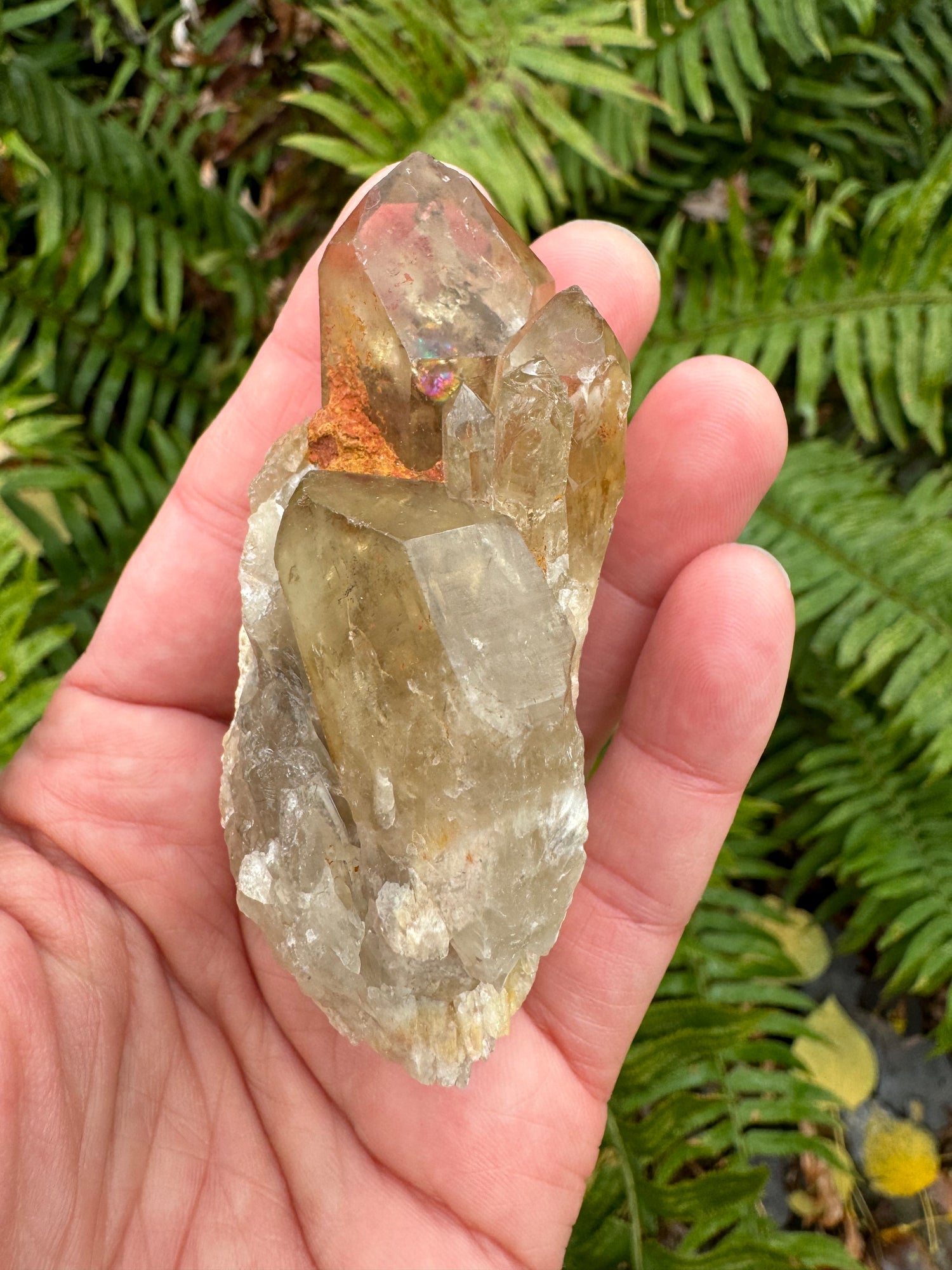 Kundalini Citrine 120 g Rainbows!! - Moon Room Shop and Wellness