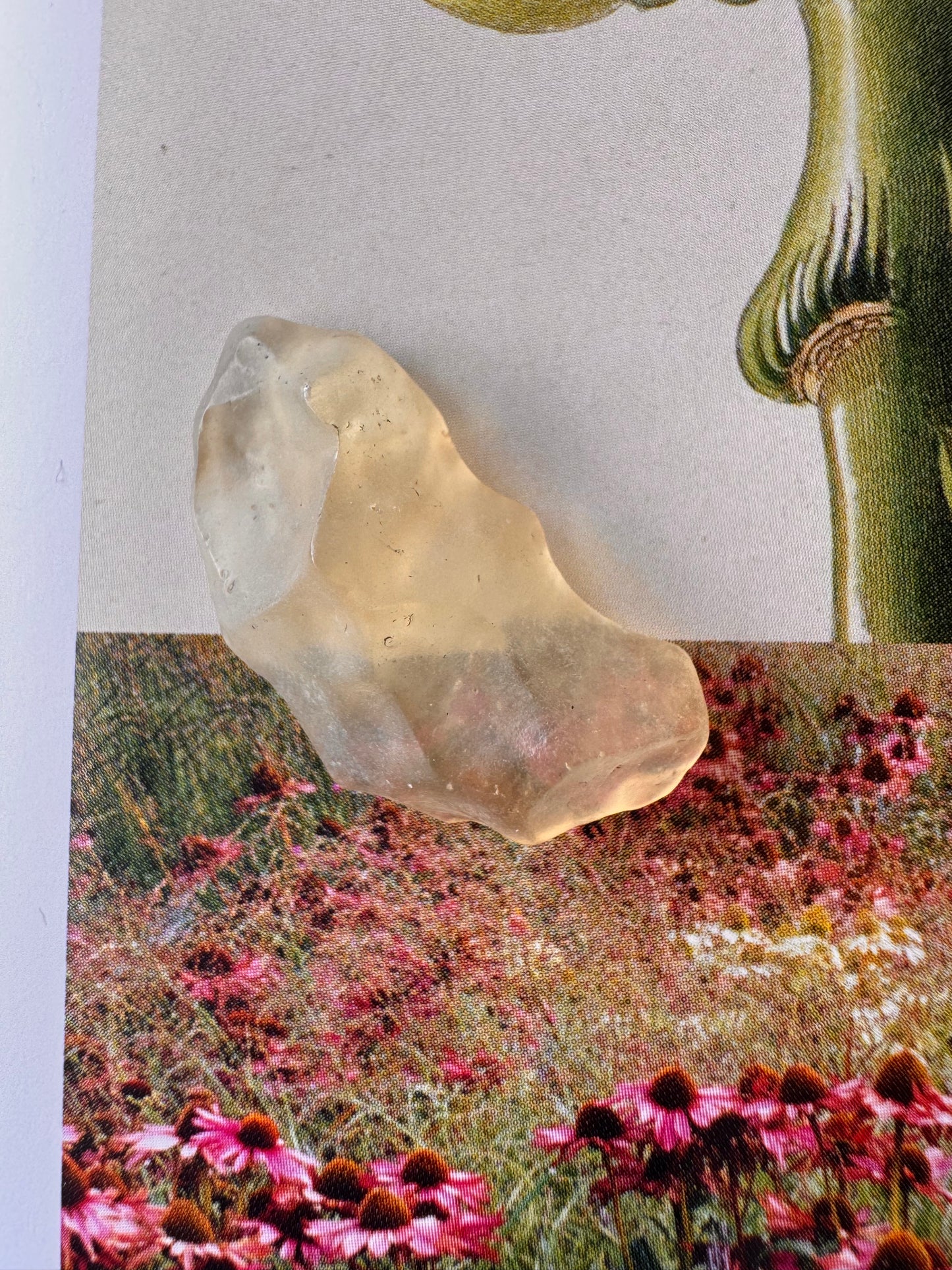 Libyan Desert Glass Tektite 3.6  gram - Moon Room Shop and Wellness