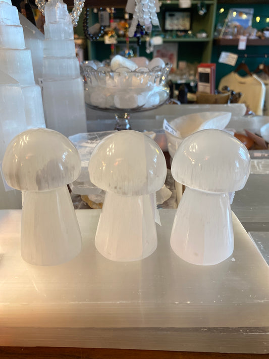 Selanite aka Satin Spar Mushroom Cute! - Moon Room Shop and Wellness